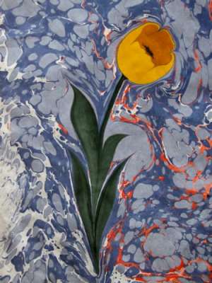 DOĞAL LALE (TULIPPA)